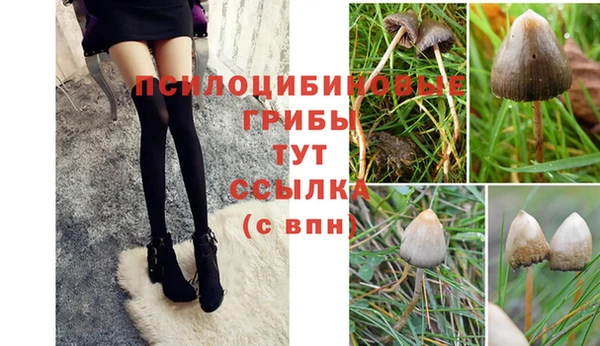 крисы Балабаново