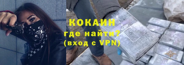 стаф Балахна