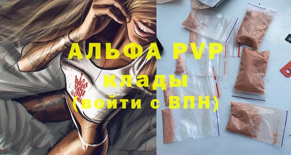 стаф Балахна