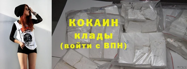 стаф Балахна