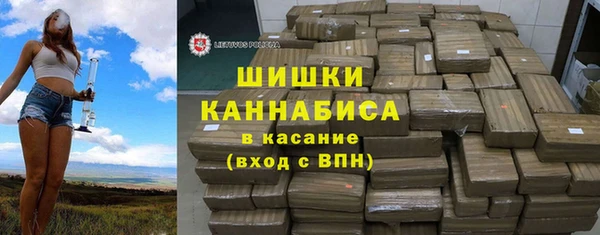 стаф Балахна